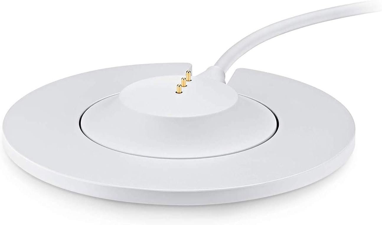 Bose tragbarer Haussprecher Ladeschale, Silber