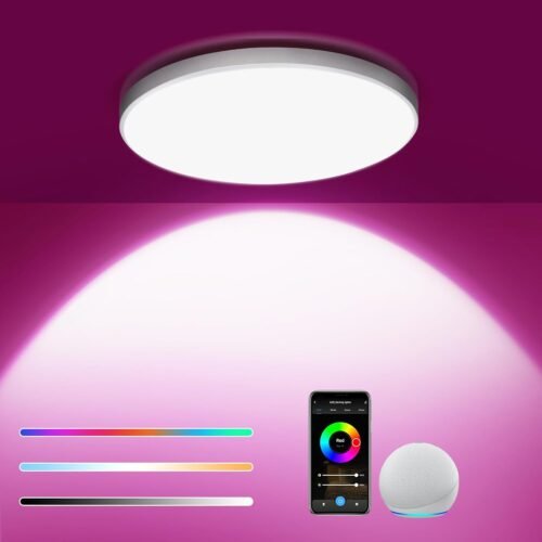 EUAKEE LED Deckenleuchte 24W, Smart RGB LED Deckenlampe Dimmbar, SynchroniSerert Mit Musik, App-Steuerung und Kompatibilität mit Alexa/Google Home, LED Deckenleuchte Rund für Schlafzimmer, Woohnzimmer