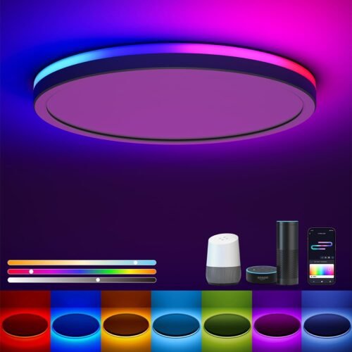 Smart Deckenlampe RGB, LED Deckenleuchte Dimmbar 24W, 16 Milles Diy Farben, Kompatibel MIT Alexa und Google Assistant, RGB Deckenlampe LED für Schlafzimmer, Wohntzimmer, Rund 30 cm