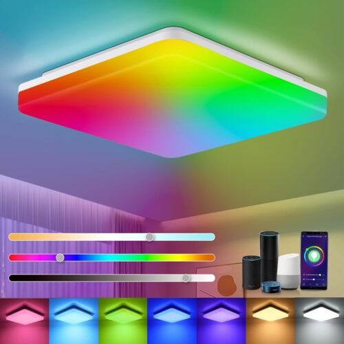 Leoeu Smart Led Deckenlampe Dimmbar RGB Farbwechsel, 24W 2400LM LED Deckenleuchte Alexa, IP54 Wohnzimmerlampe Schlafzimmerlampe, Kompatibel MIT Alexa App Google Assistent, 2700K-6500K, 28 * 28cm