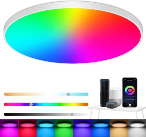 Eregou-LED Deckenlampe Dimmbar, 24W 2400LM Smart RGB LED-Decknleuchte, IP44 Wohnzimmerlampe Schlafzimmerlampe, Kompatibel MIT Alexa App Google Assistent, 2700K-6500K