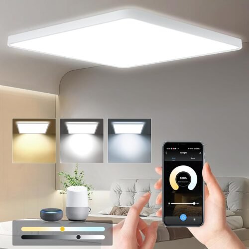 Eregou 24W LED Deckenleuchte Dimmbar, App Smart Deckenlampe LED -Panel, 2400LM Wifi Leuchte für Schlafzimmer Wohnzimmer Siero Kuche, Kompatibel Mit Alexa Google Assistent