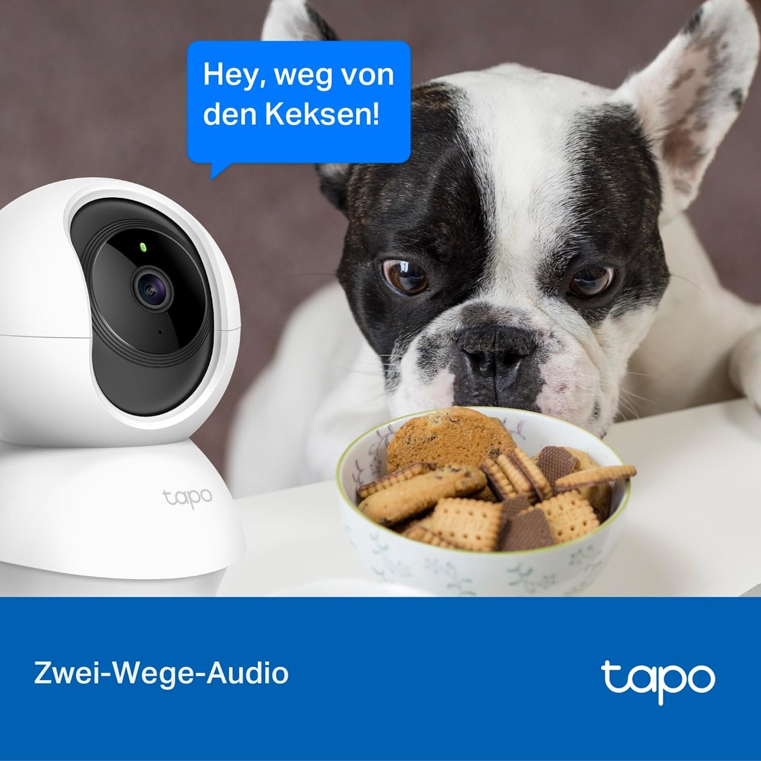 Tapo TP-Link C200 360 ° -Wlan-Reiberwachungskamera für Innenberich, FHD 1080p, Nachtsicht, Bewegungsserkennung, Zwei-Wege-Audio, Kompatibel MIT Alexa und Google-Assistent, Frü Babys/Haustiere/Haustiere/haustiere/haustiere/haustiere – Bild 6