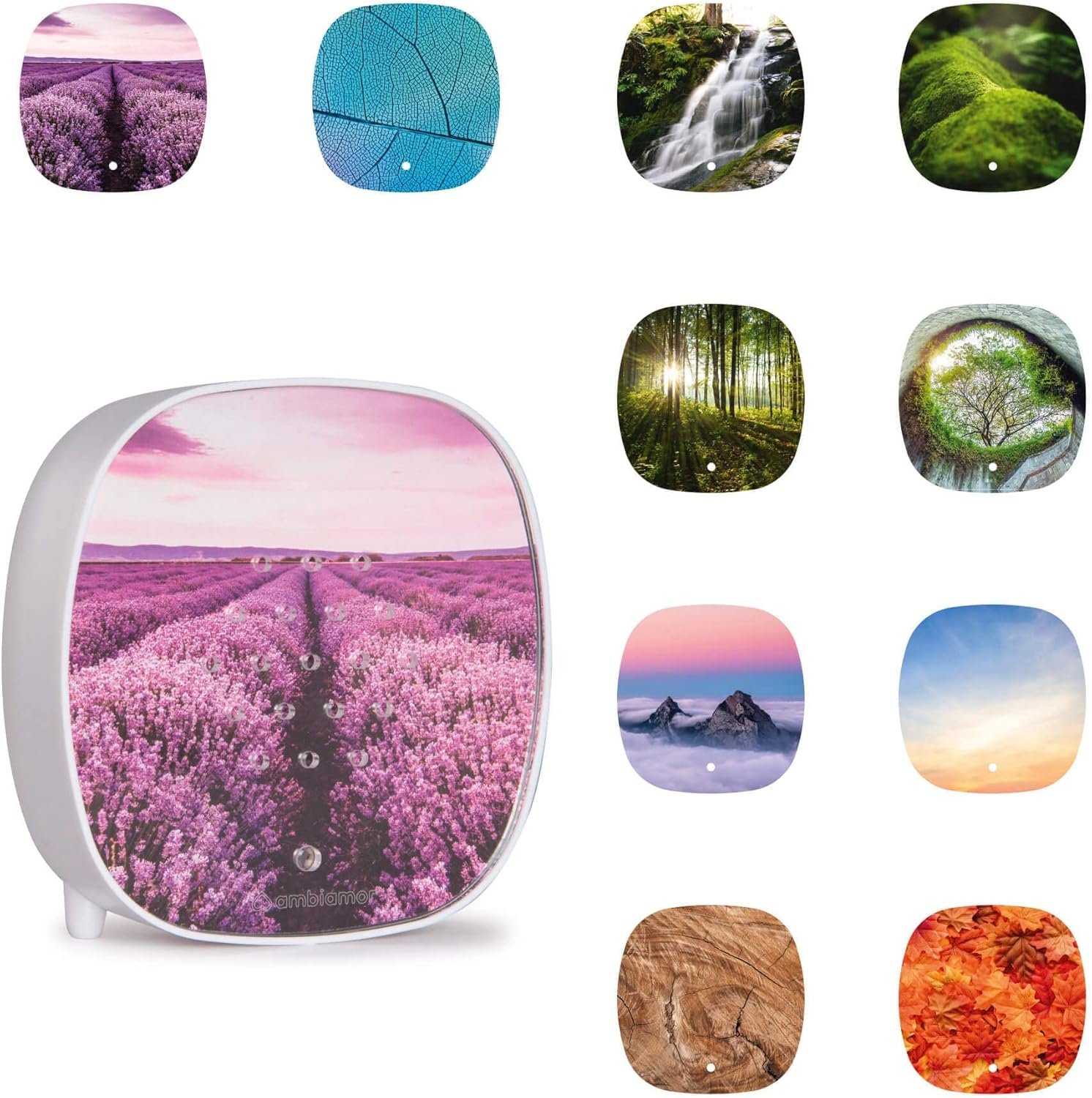 Ambiamor Vogelgezwitscher Bewegungsmelder -Box Wiedenerafladbar MIT 3 Wechselcovern, 13+ Stile und 2 Tonsspuren - Vogelgesang & Waldquelle – Bild 6