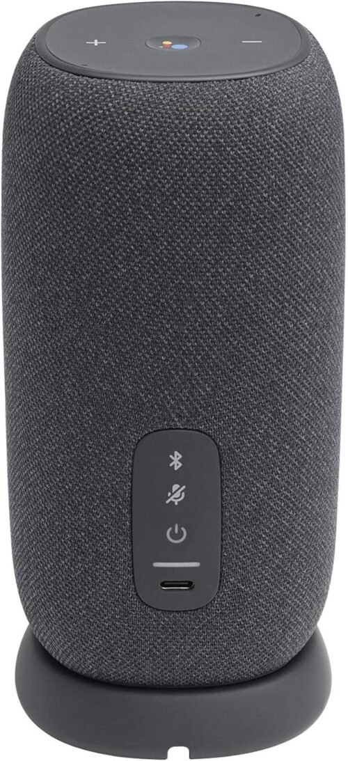 JBL Altavoz Link Tragbarer Bluetooth -Lautsprecher mit Google Assistant – Gray