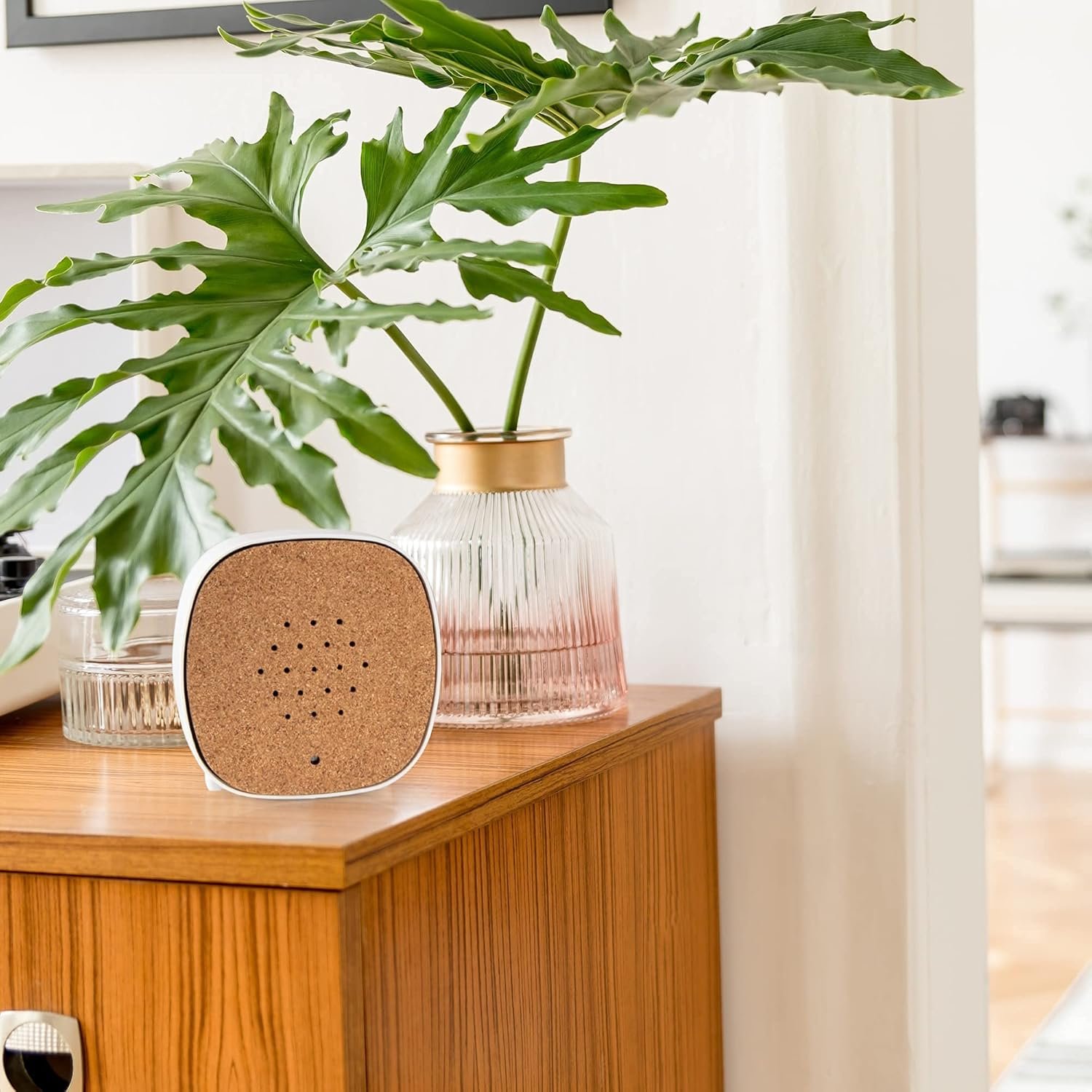 Ambiamor Vogelgezwitscher Bewegungsmelder -Box Wiedenerafladbar MIT 3 Wechselcovern, 13+ Stile und 2 Tonsspuren - Vogelgesang & Waldquelle – Bild 4